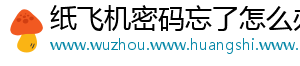 纸飞机密码忘了怎么办